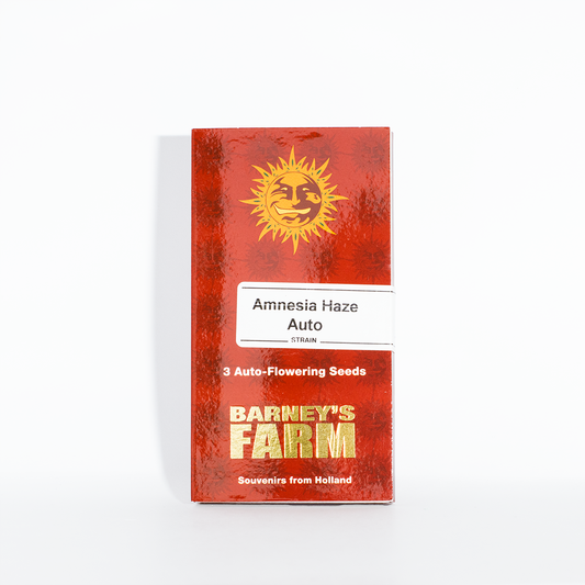 Amnesia Haze Auto Kannabiksen siemenet, Barney's Farm